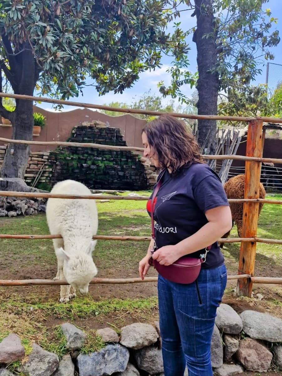 Mundo Alpaca, Arequipa Mundo Alpaca, Arequipa