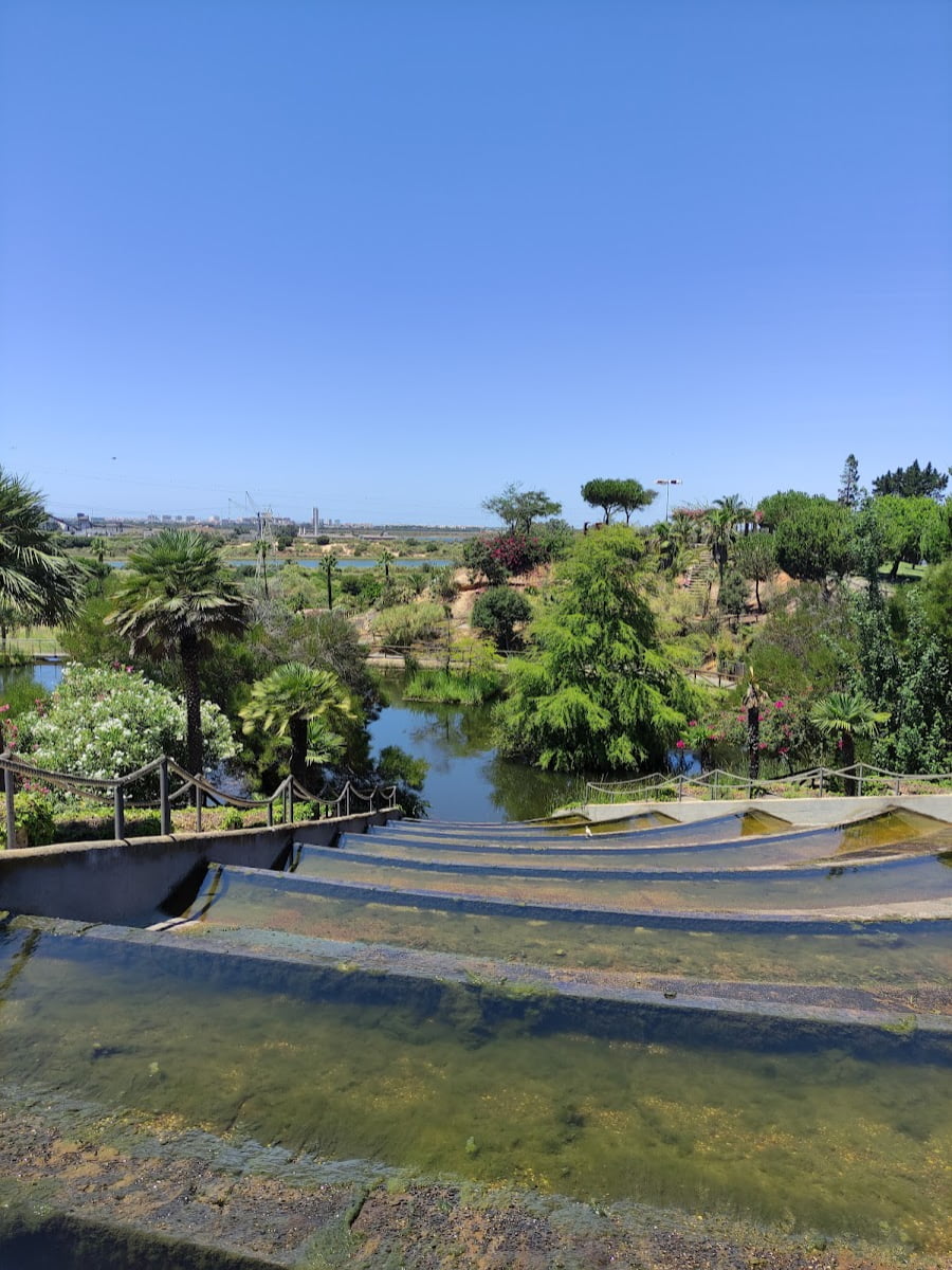 Odiel Marshes, Huelva Province Odiel Marshes, Huelva Province