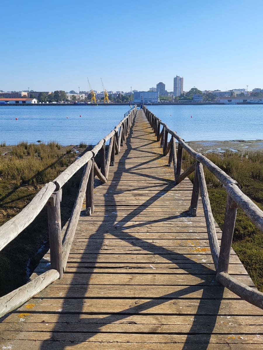 Odiel Marshes, Huelva Province Odiel Marshes, Huelva Province