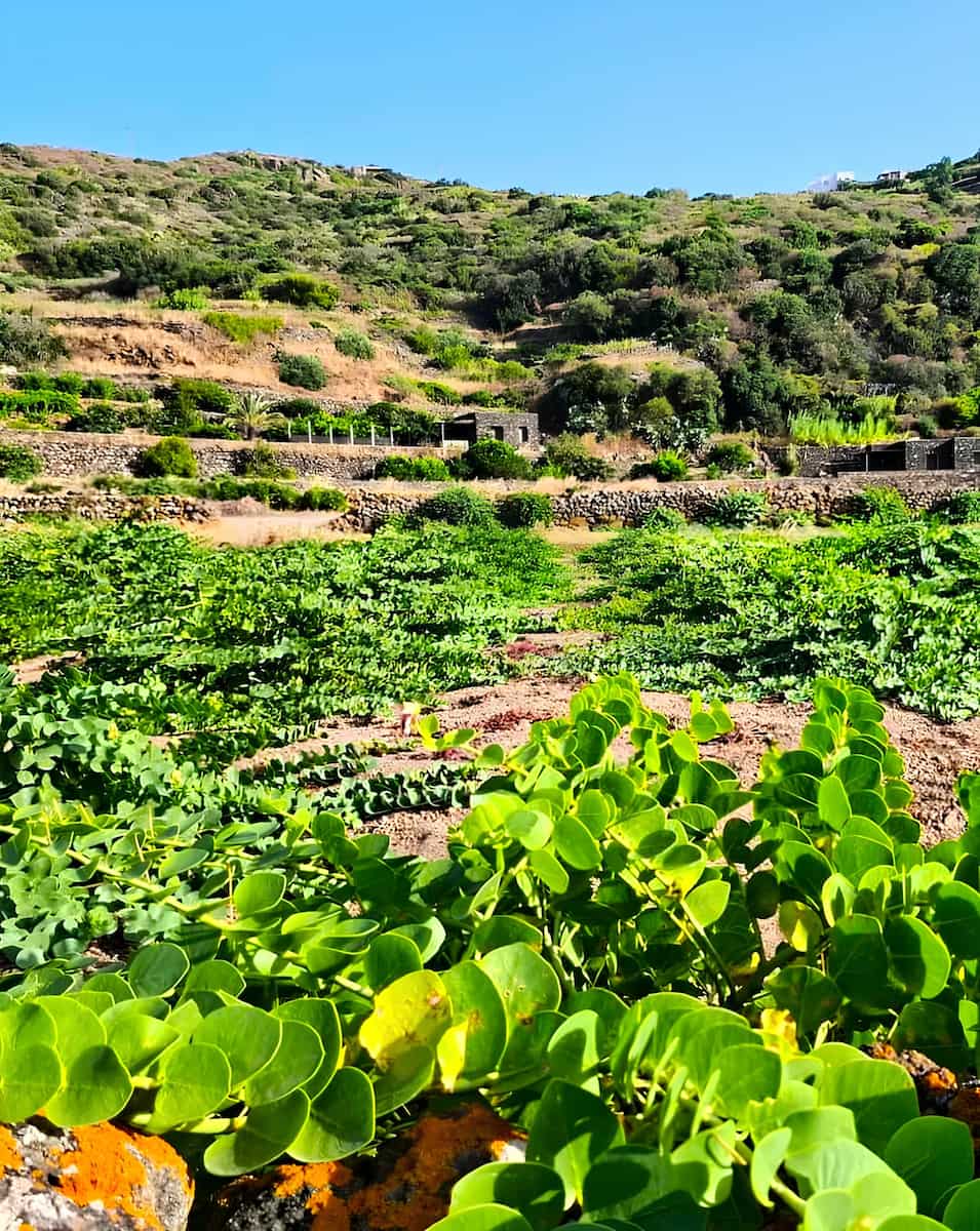 Pantelleria, Italy Pantelleria, Italy