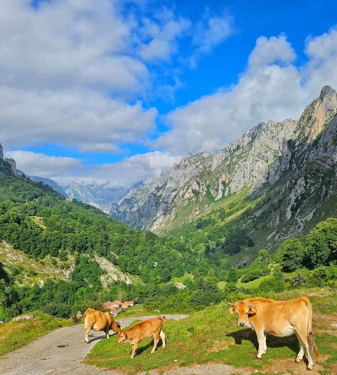 Picos de Europa, Cantabria Picos de Europa, Cantabria