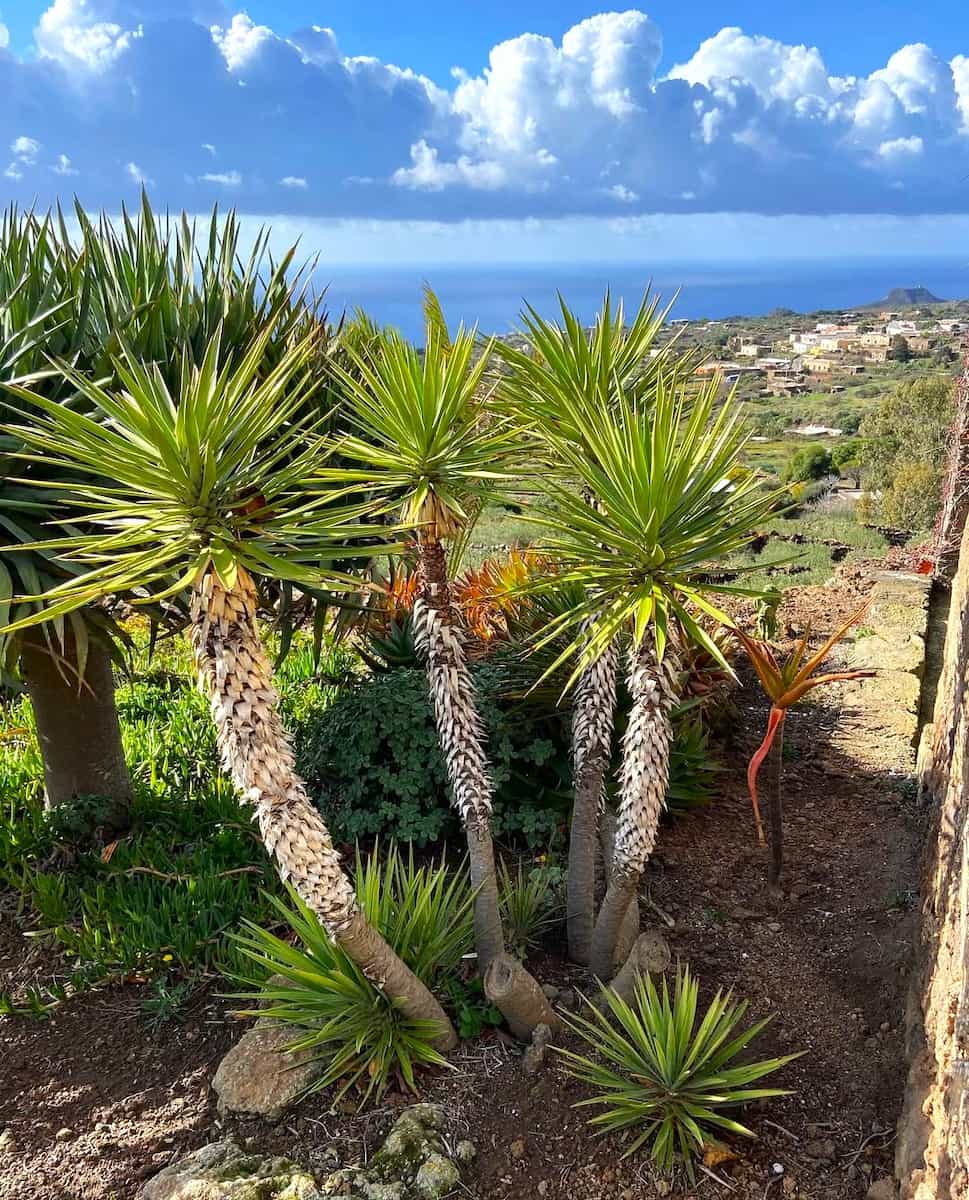 Rekhale, Pantelleria Rekhale, Pantelleria
