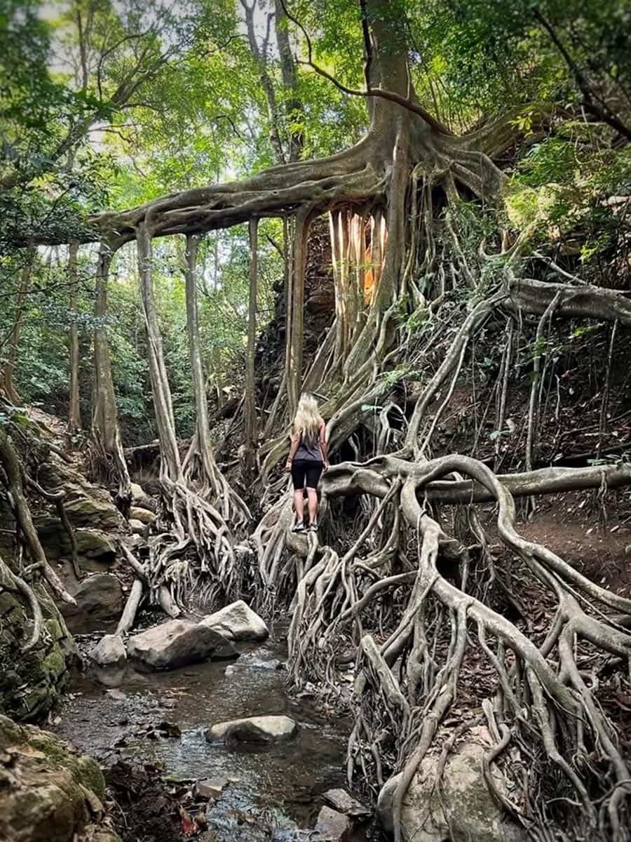 Santa Elena, Monteverde Santa Elena, Monteverde