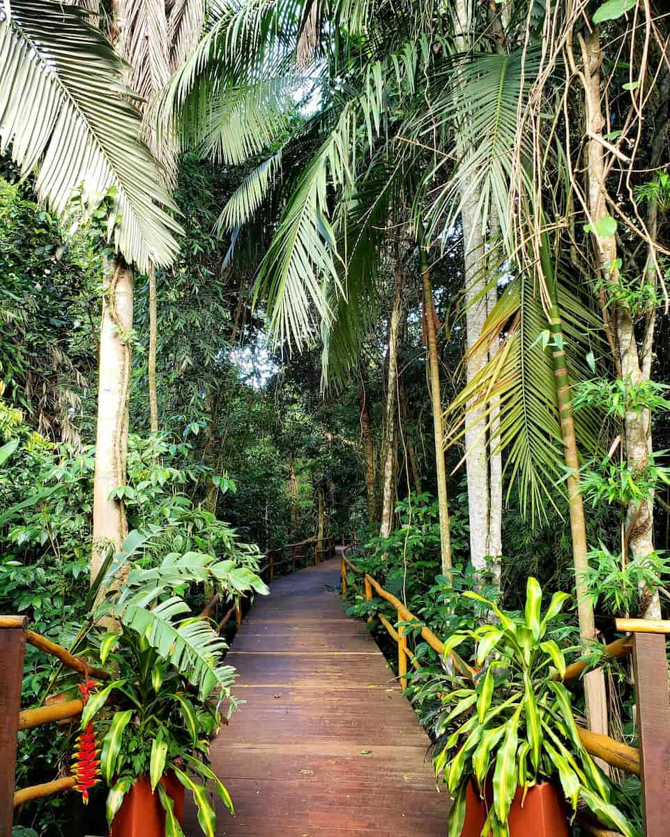 Selva Iryapú, Foz do Iguaçu Selva Iryapú, Foz do Iguaçu