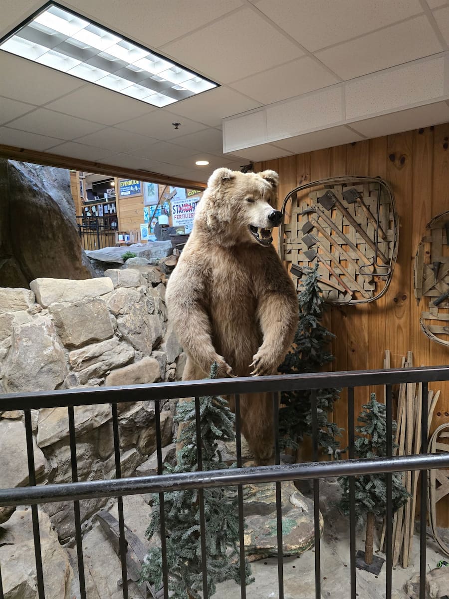 Smoky Mountain Knife Works, Great Smoky Mountains