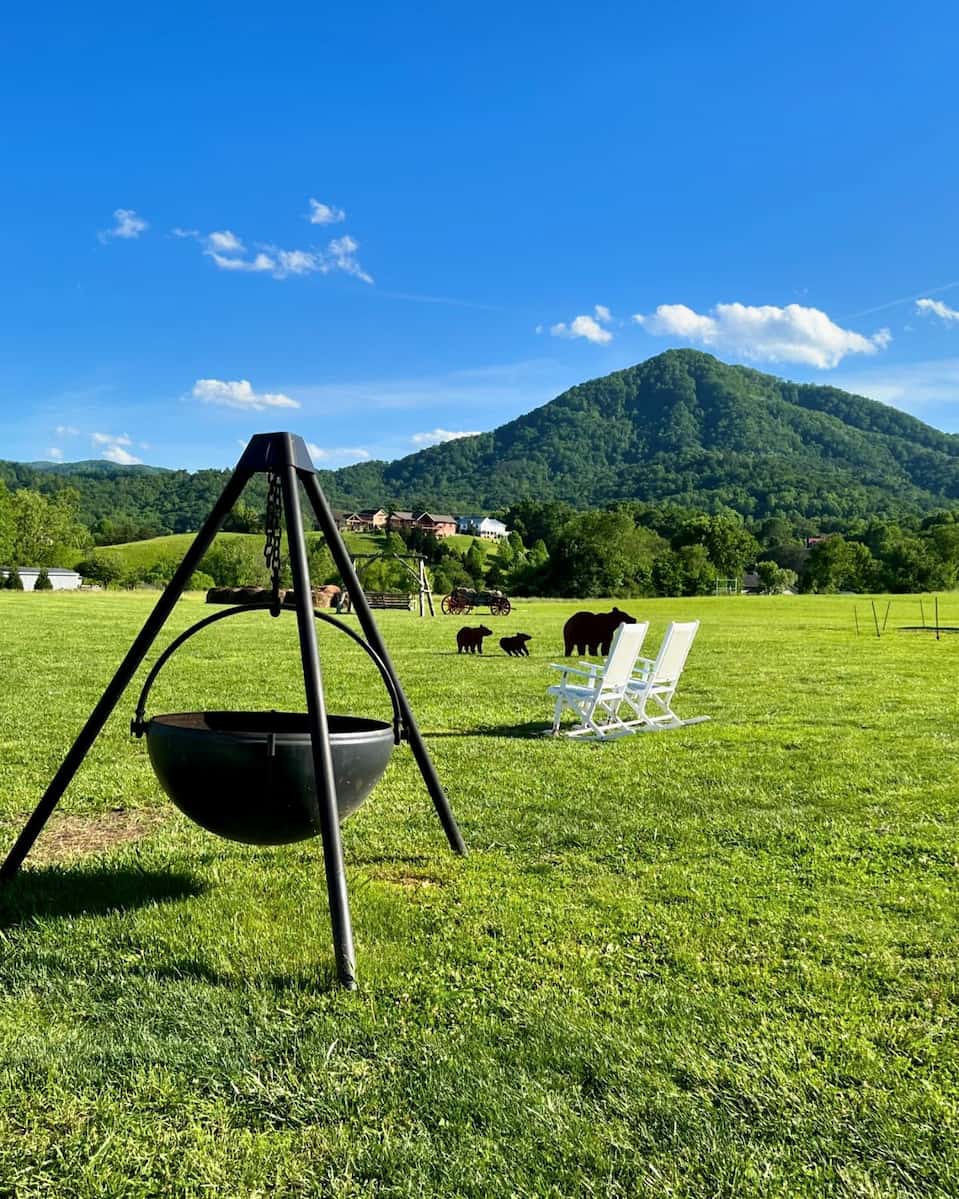 Wears Valley, Great Smoky Mountains